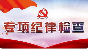 专项纪律检查