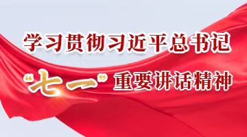  学习贯彻习近平总书记“七一”重要讲话精神
